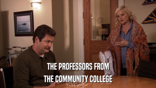THE PROFESSORS FROM THE COMMUNITY COLLEGE 