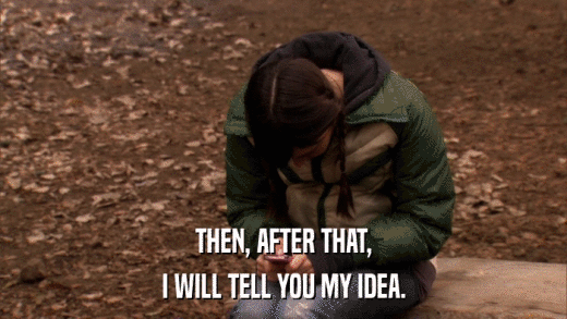THEN, AFTER THAT, I WILL TELL YOU MY IDEA. 