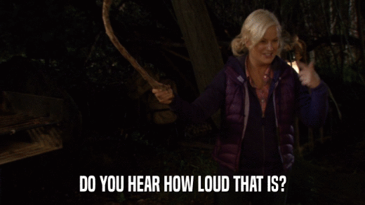DO YOU HEAR HOW LOUD THAT IS?  