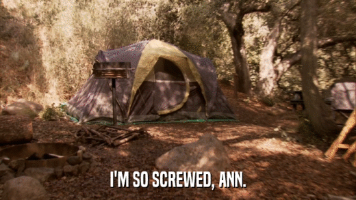 I'M SO SCREWED, ANN.  