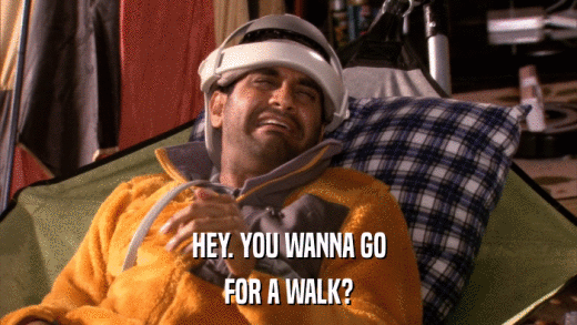 HEY. YOU WANNA GO FOR A WALK? 