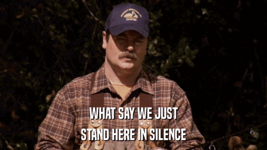 WHAT SAY WE JUST STAND HERE IN SILENCE 