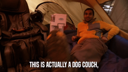 THIS IS ACTUALLY A DOG COUCH,  