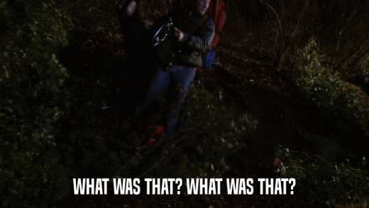 WHAT WAS THAT? WHAT WAS THAT?  