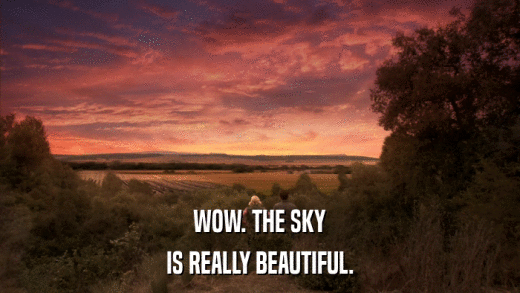 WOW. THE SKY IS REALLY BEAUTIFUL. 
