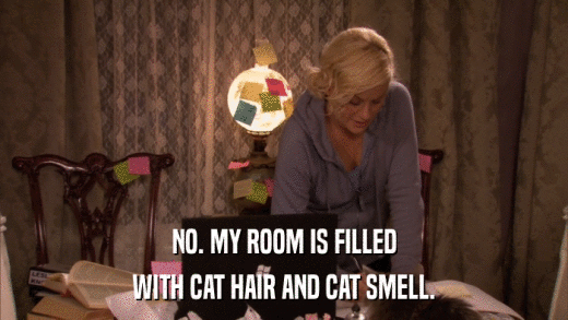 NO. MY ROOM IS FILLED WITH CAT HAIR AND CAT SMELL. 