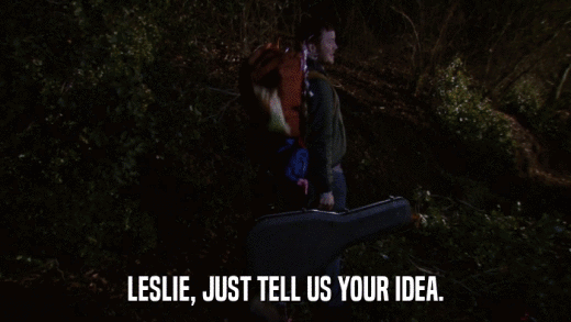 LESLIE, JUST TELL US YOUR IDEA.  