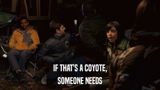 IF THAT'S A COYOTE, SOMEONE NEEDS 