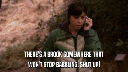 THERE'S A BROOK SOMEWHERE THAT WON'T STOP BABBLING. SHUT UP! 