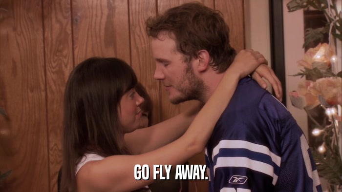 GO FLY AWAY.  