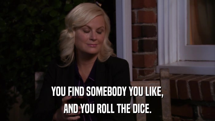 YOU FIND SOMEBODY YOU LIKE, AND YOU ROLL THE DICE. 