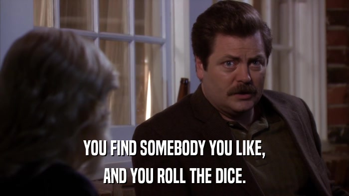 YOU FIND SOMEBODY YOU LIKE, AND YOU ROLL THE DICE. 