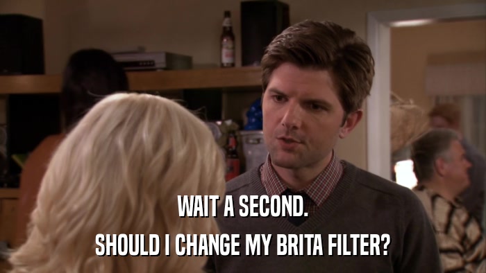 WAIT A SECOND. SHOULD I CHANGE MY BRITA FILTER? 