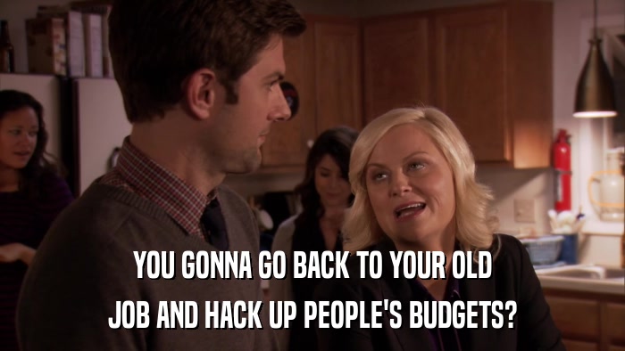 YOU GONNA GO BACK TO YOUR OLD JOB AND HACK UP PEOPLE'S BUDGETS? 