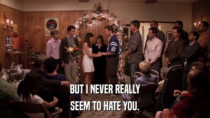 BUT I NEVER REALLY SEEM TO HATE YOU. 