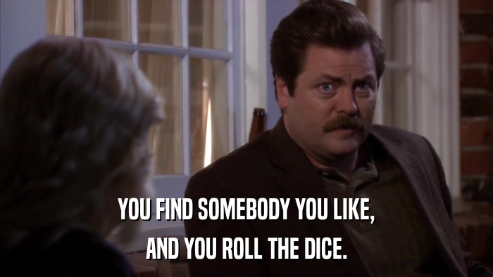 YOU FIND SOMEBODY YOU LIKE, AND YOU ROLL THE DICE. 