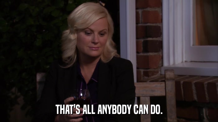 THAT'S ALL ANYBODY CAN DO.  