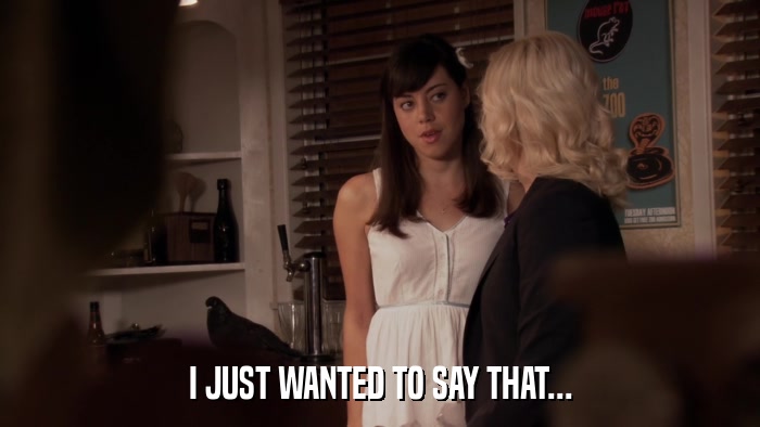 I JUST WANTED TO SAY THAT...  