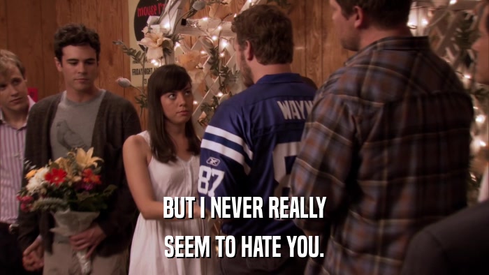 BUT I NEVER REALLY SEEM TO HATE YOU. 