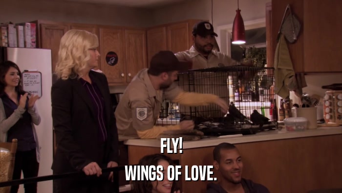 FLY! WINGS OF LOVE. 