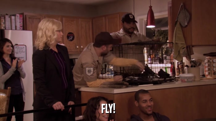 FLY!  