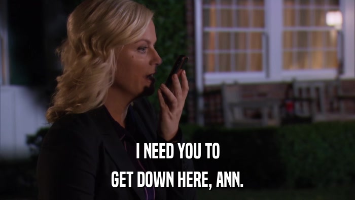 I NEED YOU TO GET DOWN HERE, ANN. 