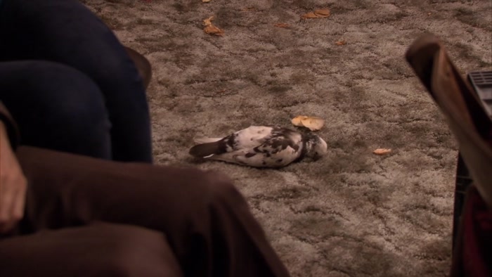 SO THAT ONE IS DEAD. WE KNOW THAT. 