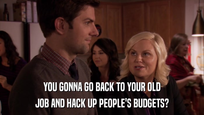 YOU GONNA GO BACK TO YOUR OLD JOB AND HACK UP PEOPLE'S BUDGETS? 