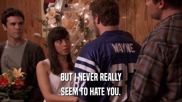 BUT I NEVER REALLY SEEM TO HATE YOU. 
