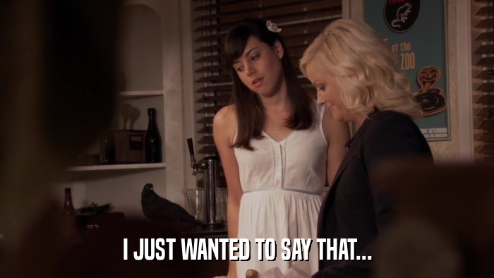 I JUST WANTED TO SAY THAT...  