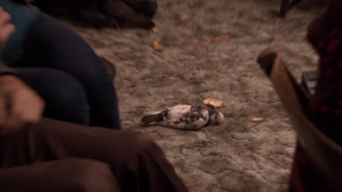 SO THAT ONE IS DEAD. WE KNOW THAT. 