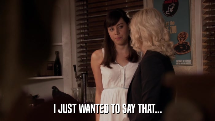I JUST WANTED TO SAY THAT...  