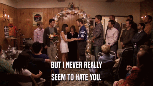 BUT I NEVER REALLY SEEM TO HATE YOU. 