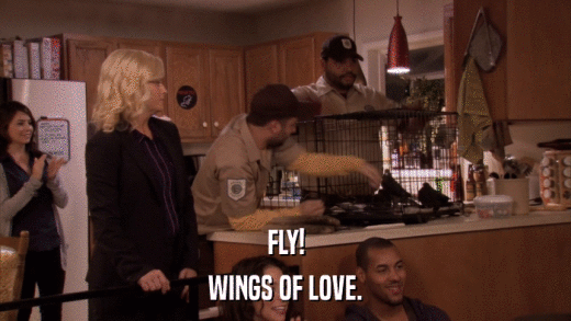 FLY! WINGS OF LOVE. 