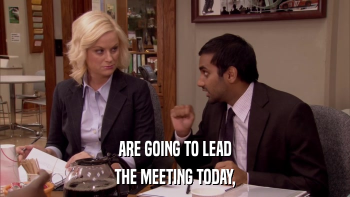 ARE GOING TO LEAD THE MEETING TODAY, 
