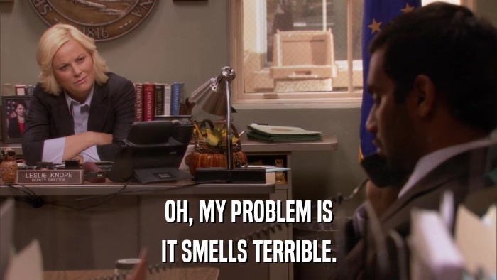 OH, MY PROBLEM IS IT SMELLS TERRIBLE. 