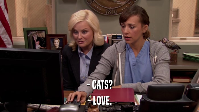 - CATS? - LOVE. 