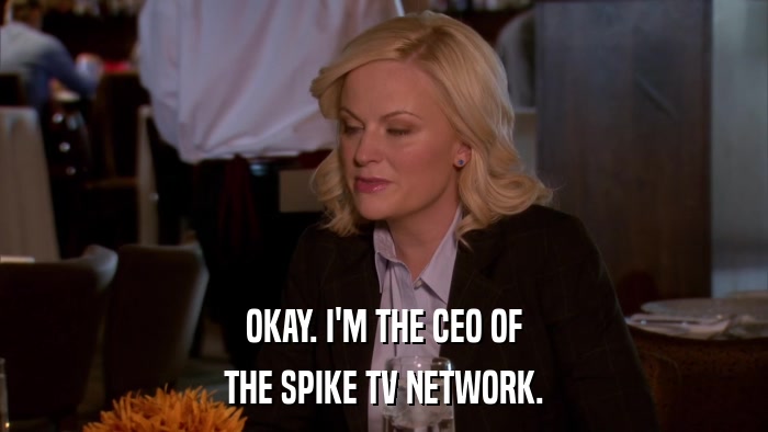 OKAY. I'M THE CEO OF THE SPIKE TV NETWORK. 