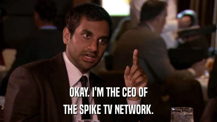 OKAY. I'M THE CEO OF THE SPIKE TV NETWORK. 