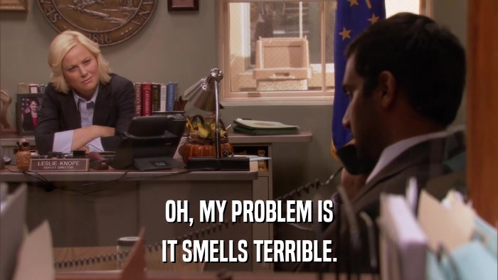 OH, MY PROBLEM IS IT SMELLS TERRIBLE. 
