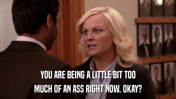 YOU ARE BEING A LITTLE BIT TOO MUCH OF AN ASS RIGHT NOW. OKAY? 