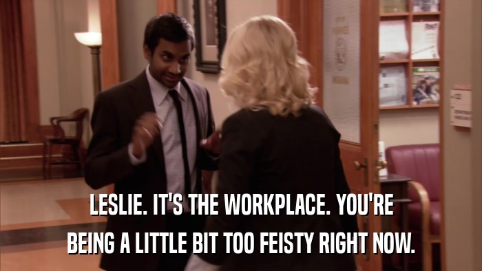 LESLIE. IT'S THE WORKPLACE. YOU'RE BEING A LITTLE BIT TOO FEISTY RIGHT NOW. 