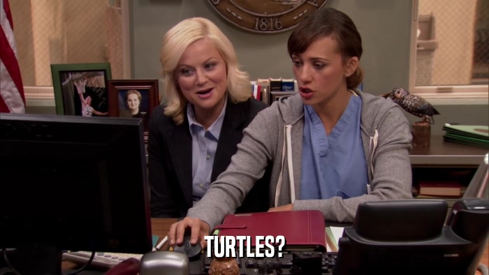 TURTLES?  