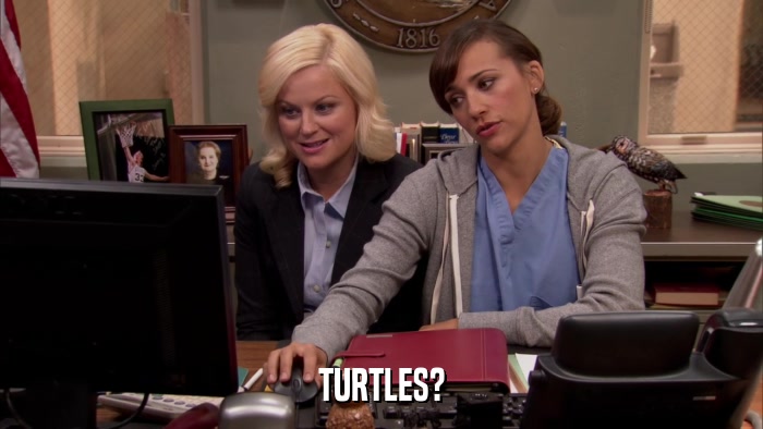 TURTLES?  