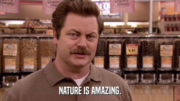 NATURE IS AMAZING.  