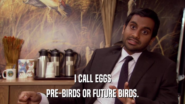 I CALL EGGS PRE-BIRDS OR FUTURE BIRDS. 