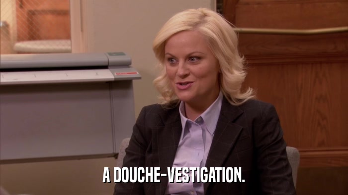 A DOUCHE-VESTIGATION.  