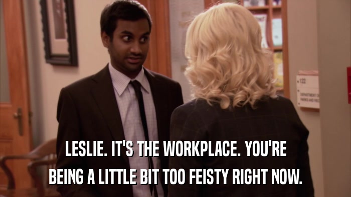 LESLIE. IT'S THE WORKPLACE. YOU'RE BEING A LITTLE BIT TOO FEISTY RIGHT NOW. 