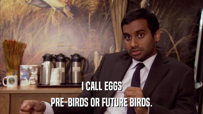 I CALL EGGS PRE-BIRDS OR FUTURE BIRDS. 