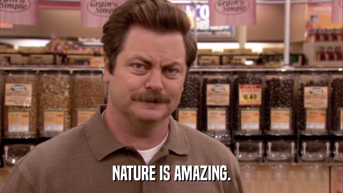 NATURE IS AMAZING.  